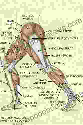 Joint Replacement Arthroplasty: Basic Science Hip Knee and Ankle