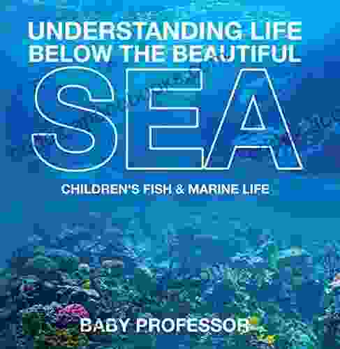 Understanding Life Below The Beautiful Sea Children S Fish Marine Life