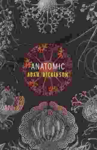 Anatomic Ben Kane